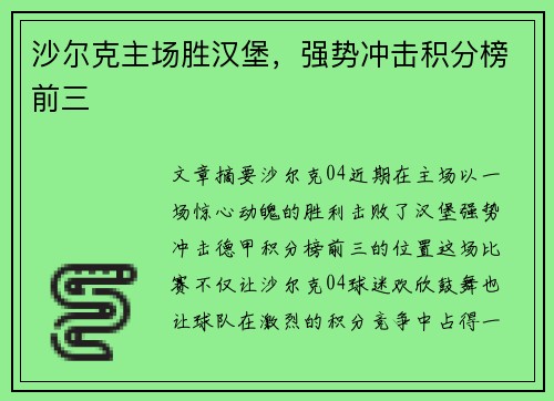 沙尔克主场胜汉堡，强势冲击积分榜前三